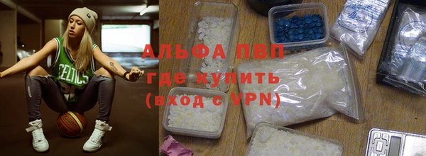 гашик Арсеньев