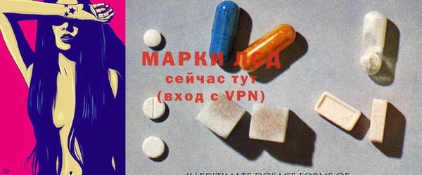 гашик Арсеньев